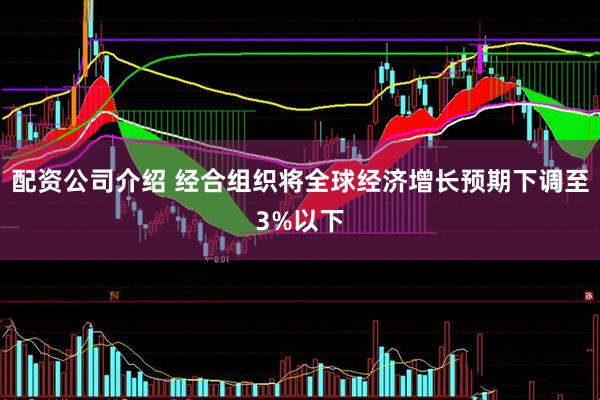 配资公司介绍 经合组织将全球经济增长预期下调至3%以下