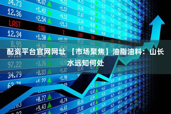 配资平台官网网址 【市场聚焦】油脂油料：山长水远知何处